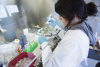 Mimetas Lab