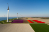 offshore wind